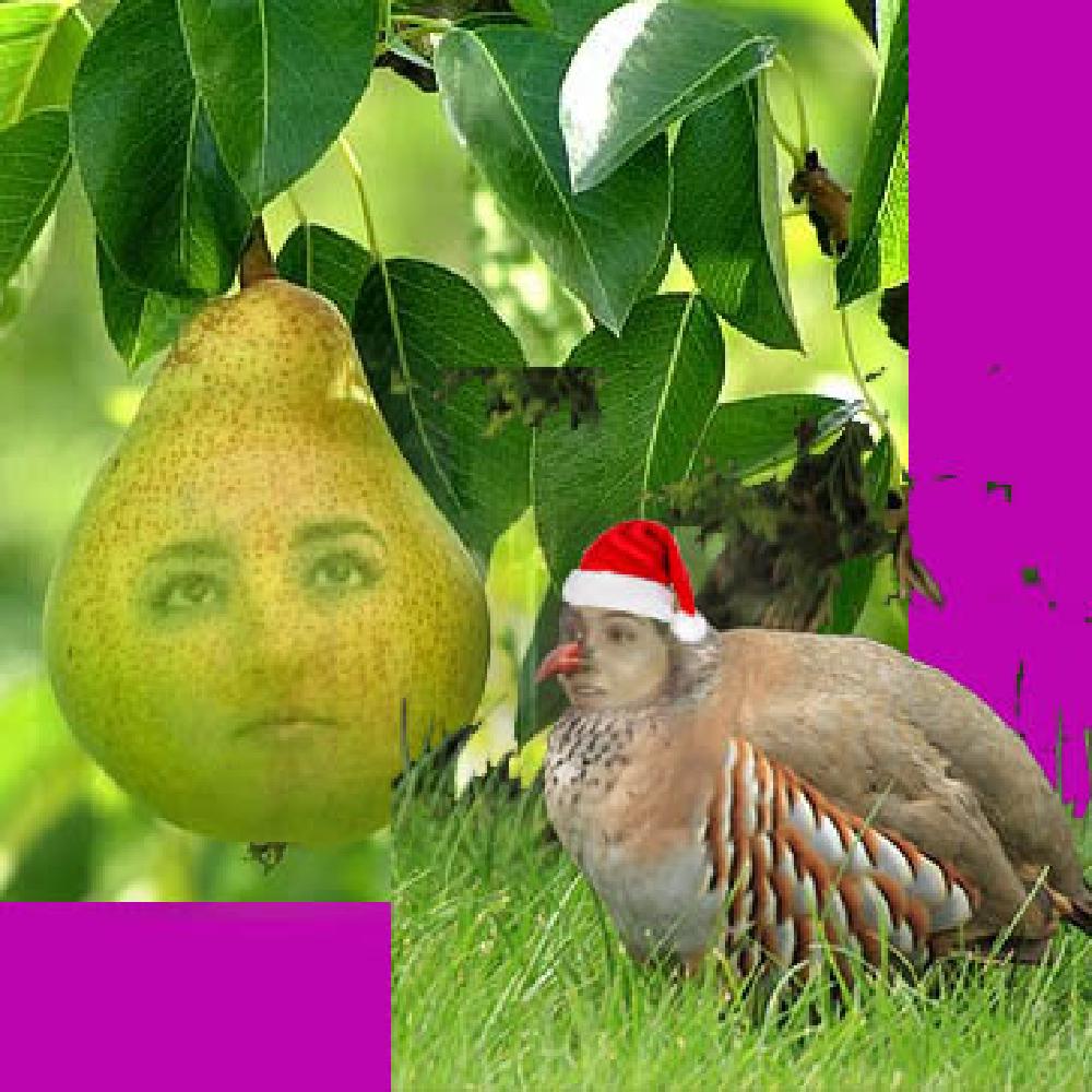 gab photoshopped onto a pear and zarina photoshopped on a turkey no idk either
