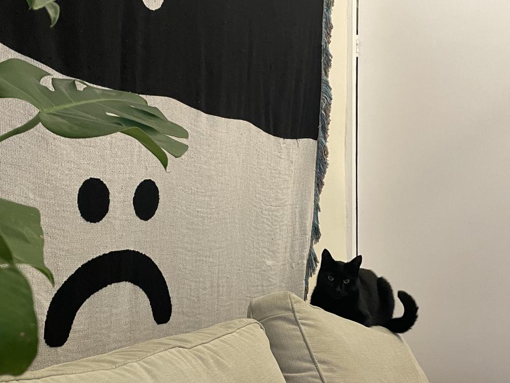 a lazy oaf wall hanging of a sad face next to coco sat on the back of the couch with a curly tail