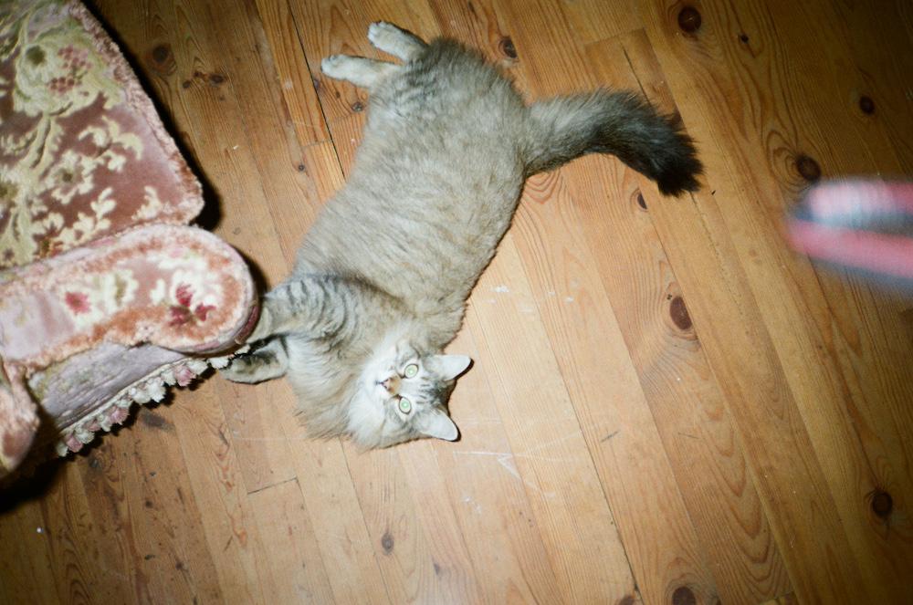 Maahs looking up at me from the floor