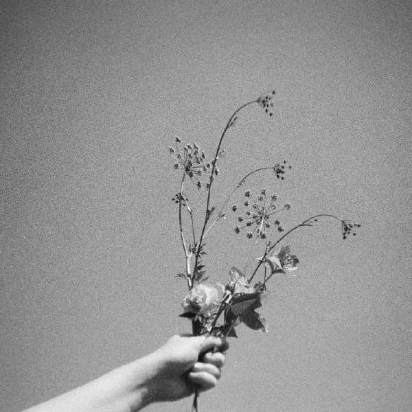 /images/Screenshot 2025-09-23 at 16.40.15.png