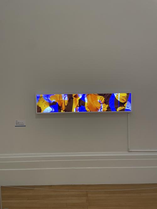 simon williams lightbox painting in abstract blothces of yellow and blue
