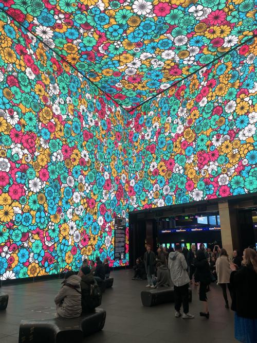 overlapping colourful flowers on the screens at outernet