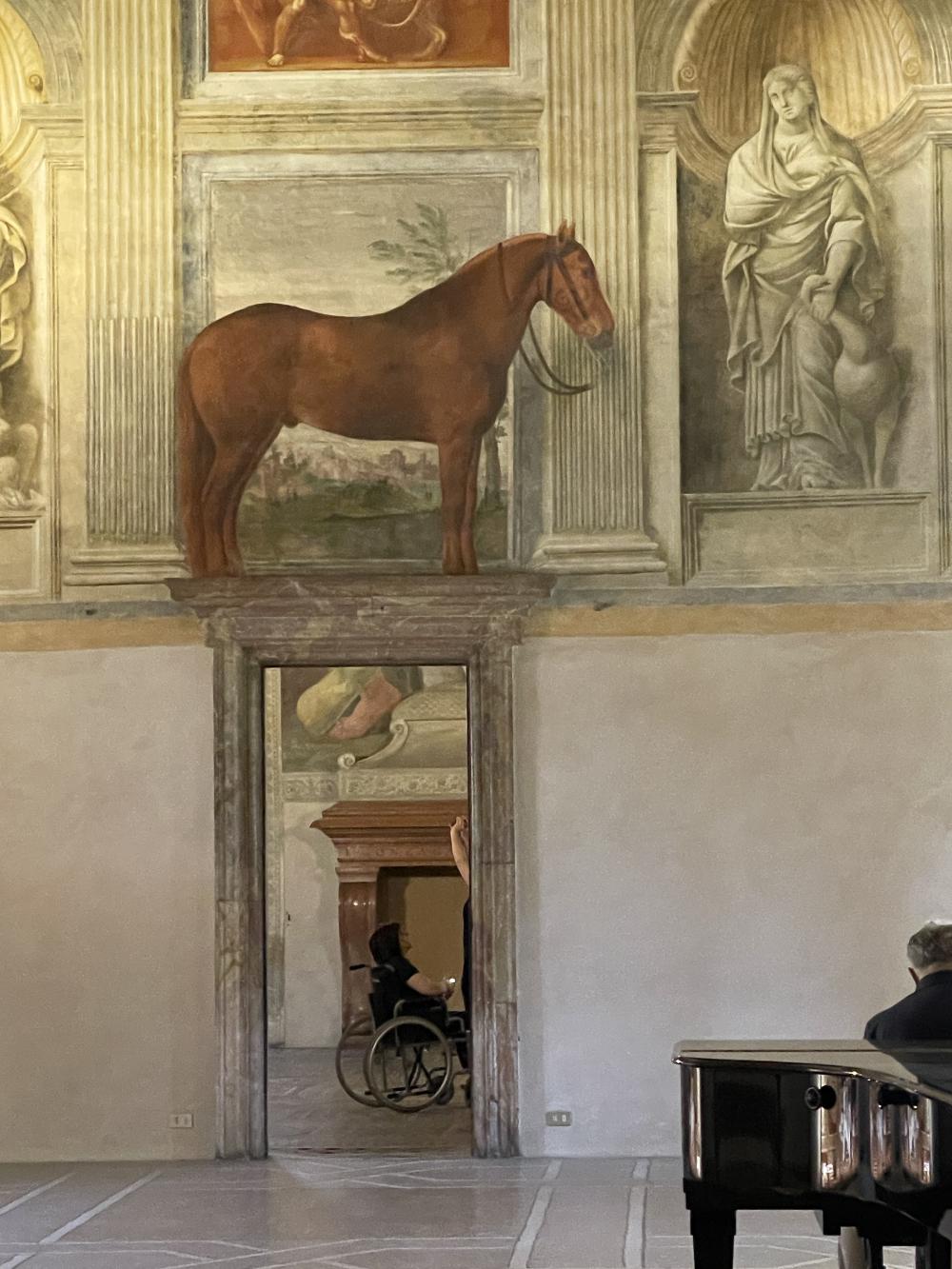 a closer picture of the same horse standing with a reign