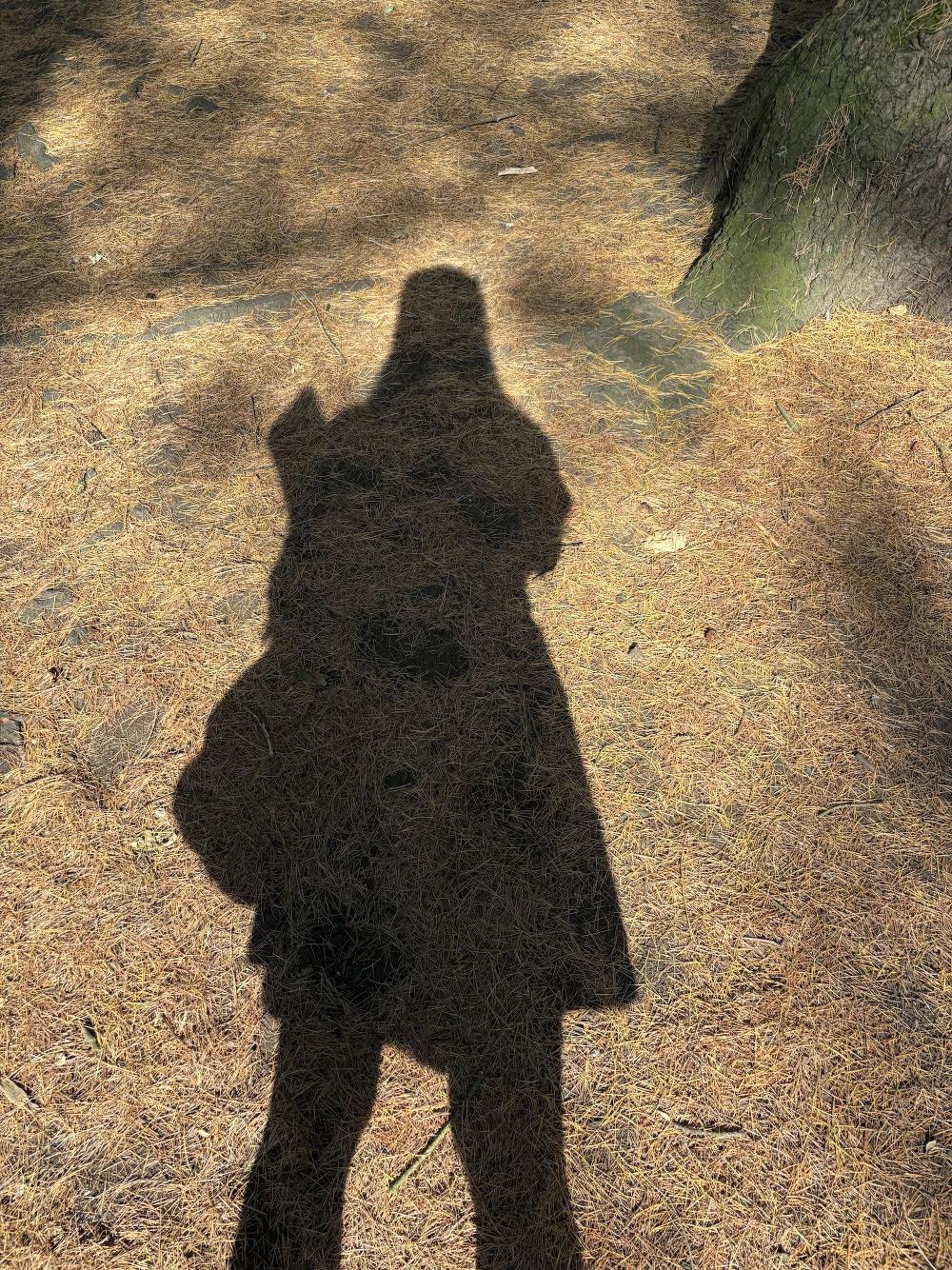gab taking photo of her shadow against dried pines across the floor under a tree